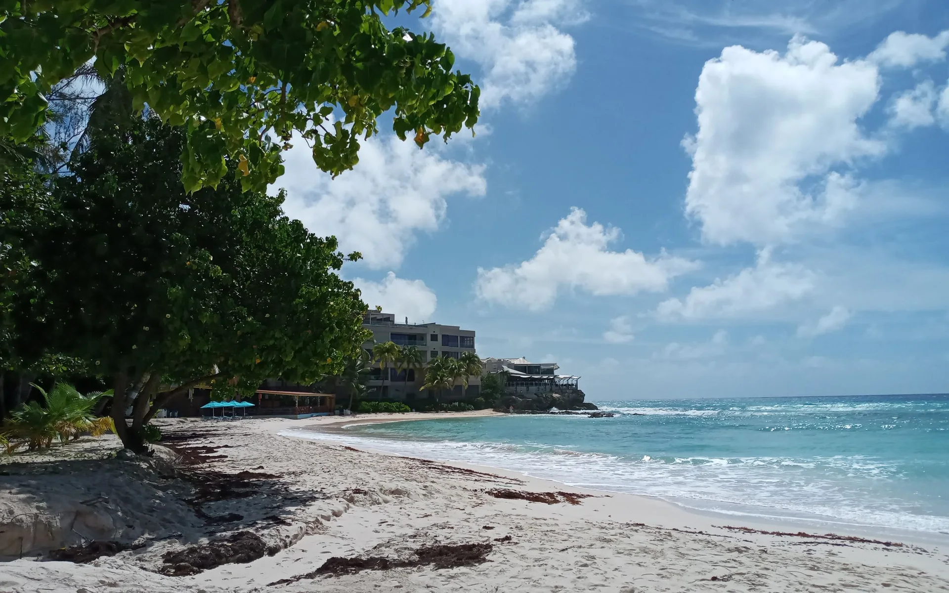 Spiaggia e mare turchese nei pressi di Bridgetown