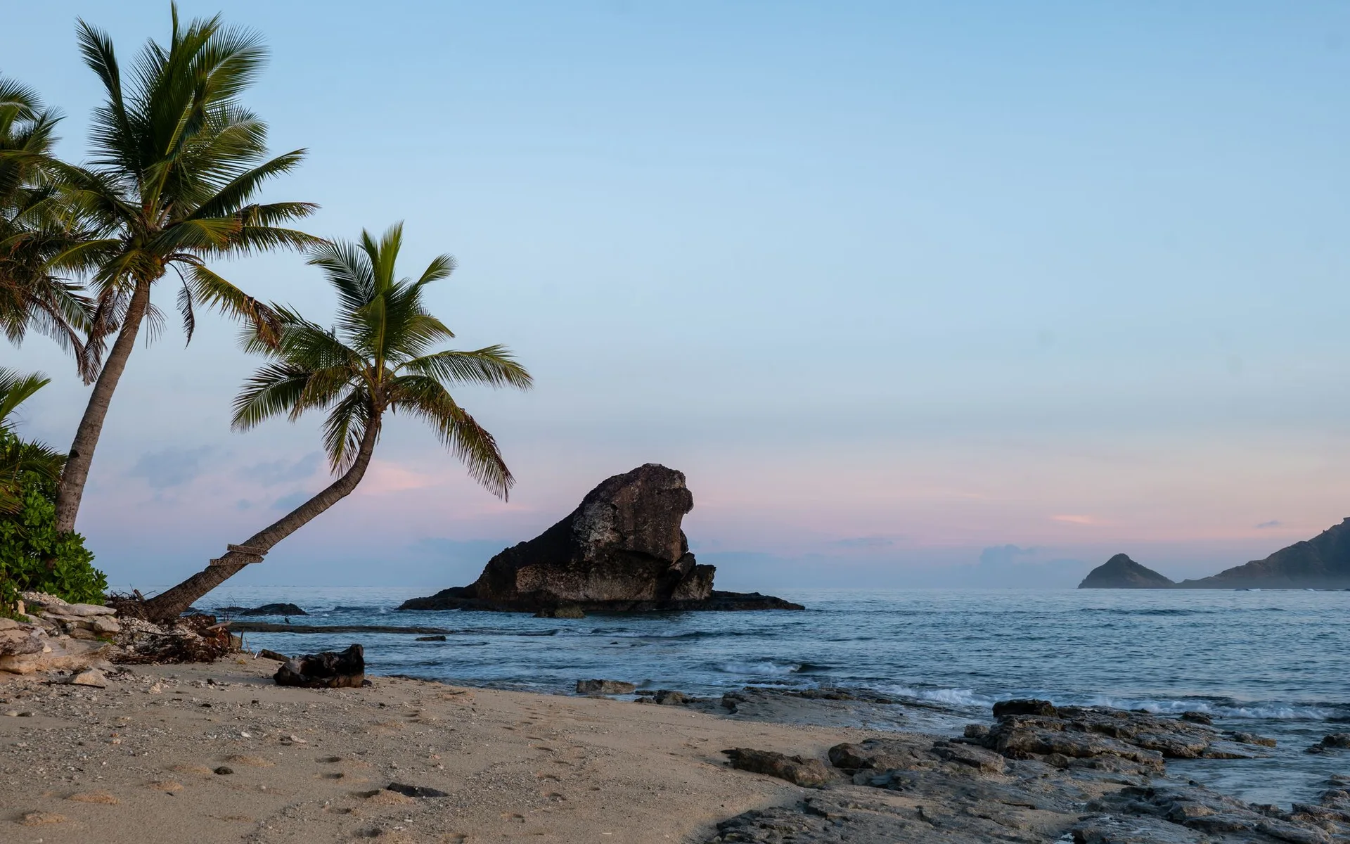 Palme sulla spiaggia dell’isola di Kuata all’alba