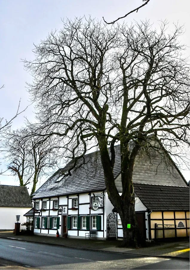 BookNoFees: Gaststätte Ziegler, Lippetal