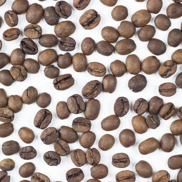 BookNoFees: Caffetteria – MTRM Roast Kávéműhely és Bemutatóterem – Budapest – MTRM Roast: torrefazione e sala espositiva, foto 1
