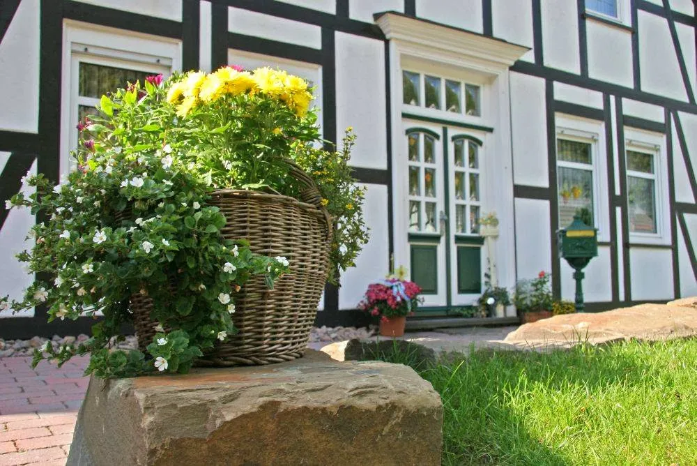 BookNoFees: Ristorante – Baumhoff Jürgen Café Pension – Olpe – Baumhoff Jürgen - Caffetteria e pensione, foto 1