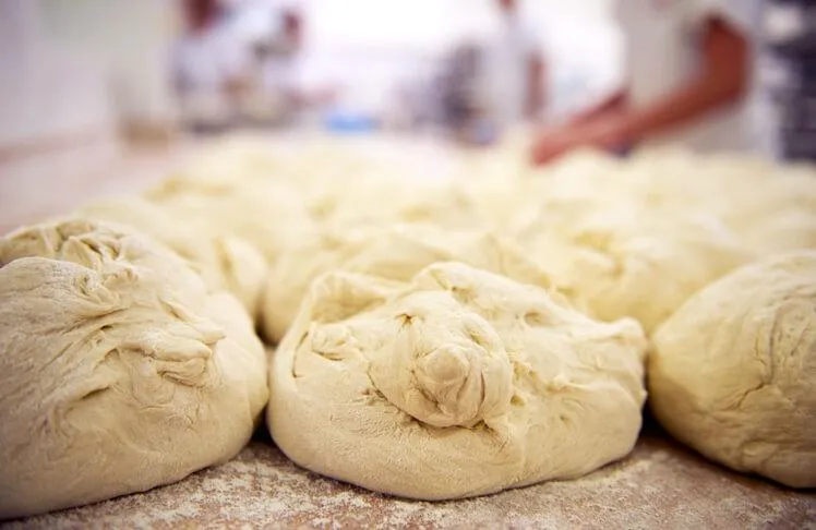 BookNoFees: Panetteria – Aranycipó – Budapest – Ragnatela, foto 1