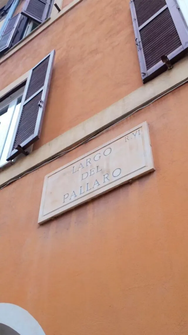 BookNoFees: Caffetteria – Le Tartarughe – Rome – Le Tartarughe, foto 2