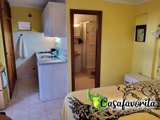 BookNoFees: casa vacanza a Buen Paso, Tenerife, Spagna – Monolocale con angolo cottura, letto e vista sul bagno