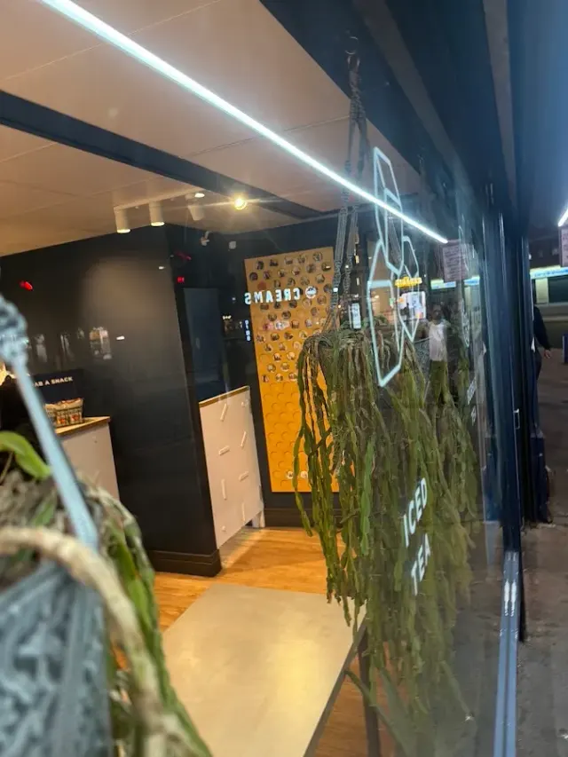 BookNoFees: Caffetteria – Cupp Bubble Tea – London – Cupp Bubble Tea, foto 2