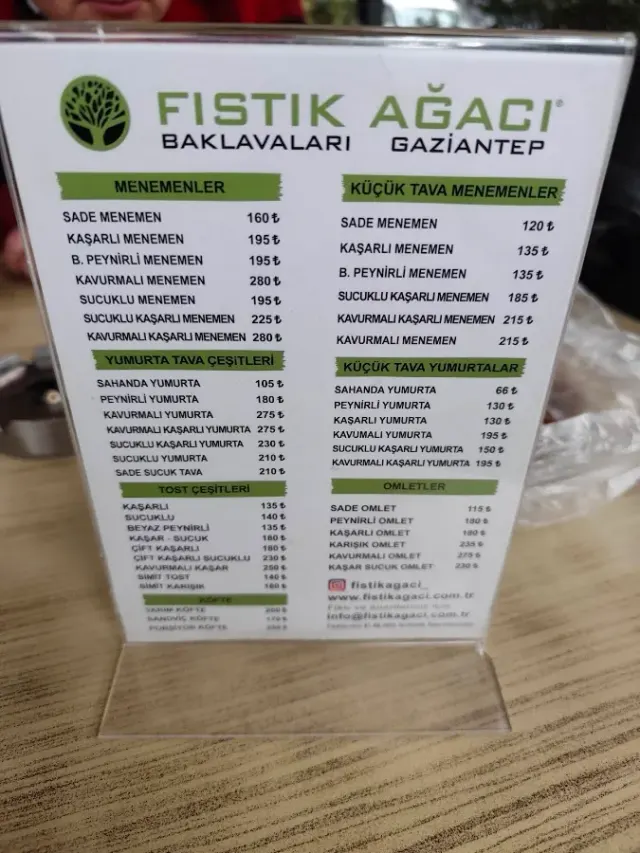 BookNoFees: Caffetteria – Fıstık Ağacı – Istanbul – Albero di pistacchio, foto 2