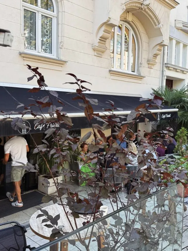 BookNoFees: Caffetteria – Café Friedl – Vienna – Caffè Friedl, foto 3