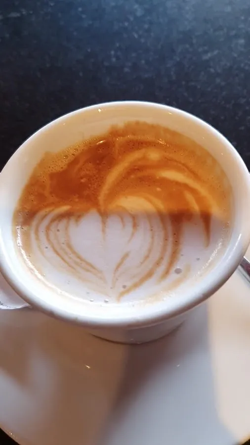 BookNoFees: Caffetteria – Bumerang – Zagreb – Boomerang, foto 3