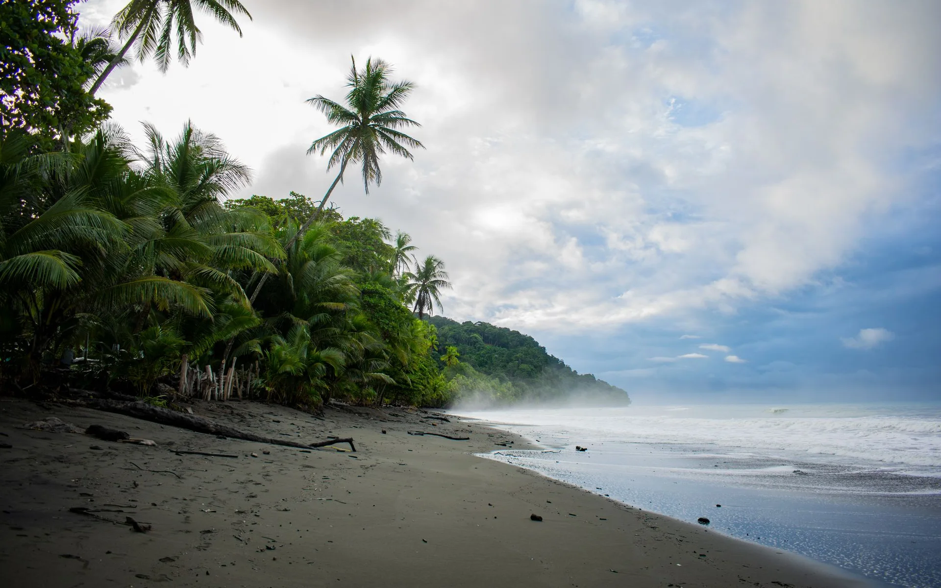 Palme sulla spiaggia di Pavones in Costa Rica
