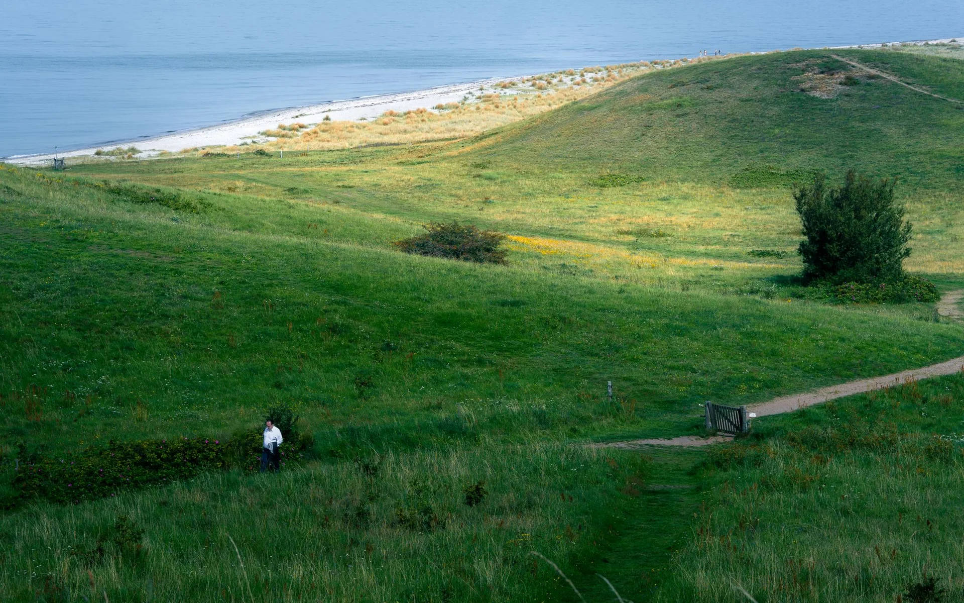 Colline verdeggianti e costa sull’isola danese di Samsø