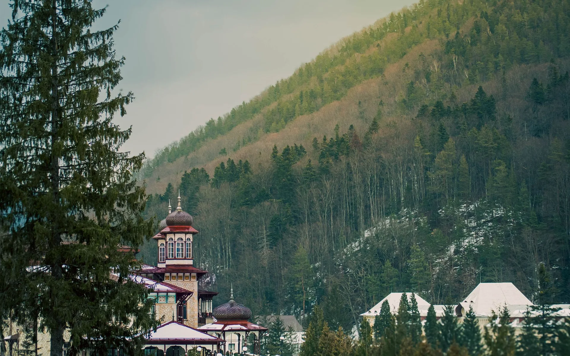 Edificio tradizionale tra le colline boscose della Romania