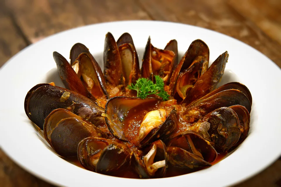 BookNoFees: Foto di esempio: Cozze cotte servite in un piatto fondo